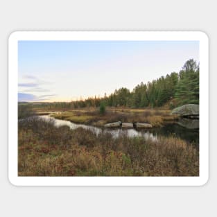 Algonquin Marshland Sticker